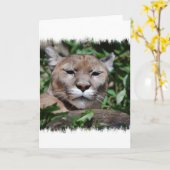 クーガープレデターグリーティングカード カード (黄色い花)