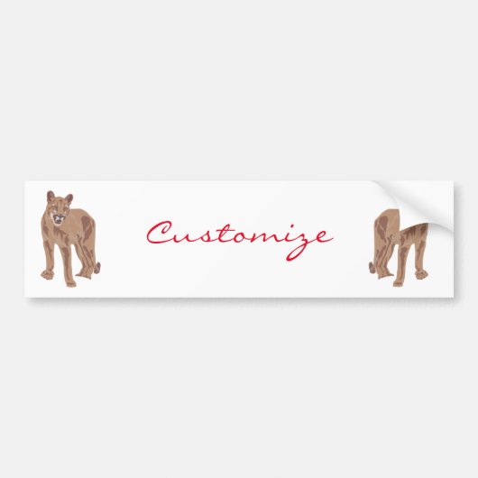 クーガープーママウンテンライオンサンダー_コーブ バンパーステッカー (正面)