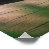 クーガーポスター ポスター (角)