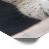 クーガーマウンテンライオンポートレートクローズアップ ポスター (角)