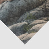 クーガーマウンテンライオンワイルドライフティッシュペーパー 薄葉紙 (詳細)