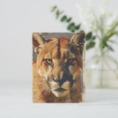 クーガーマウンテンライオンヴィンテージ ポストカード (スタンド正面)