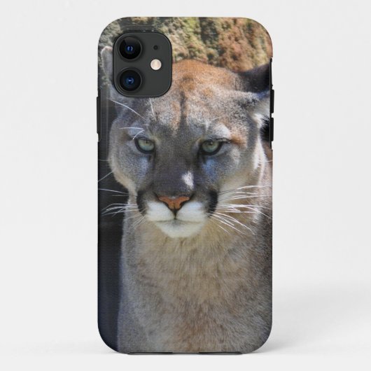 クーガーマウンテンライオン大きな猫アートケース Case-Mate iPhoneケース (裏面)