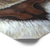 クーガーマウンテンライオン顔 ポスター (角)