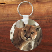 クーガー写真 キーホルダー (正面)