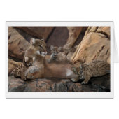 クーガー家 (正面横)