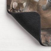 クーガー家 マウスパッド (コーナー)