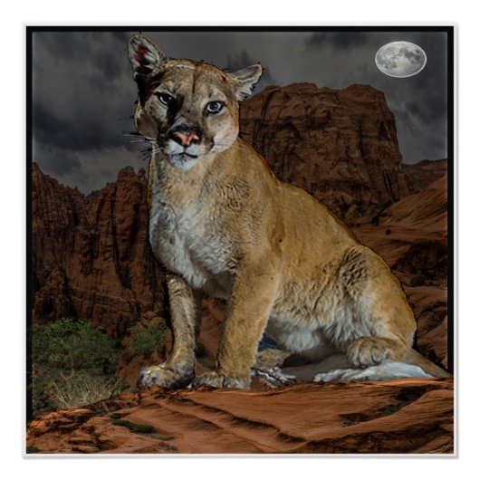 クーガー山のポスター ポスター (正面)