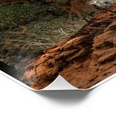 クーガー山のポスター ポスター (コーナー)