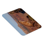 クーガー磁石 マグネット (右側)