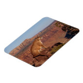 クーガー磁石 マグネット (左側)