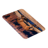 クーガー磁石 マグネット (右側)