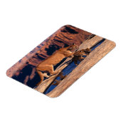 クーガー磁石 マグネット (左側)