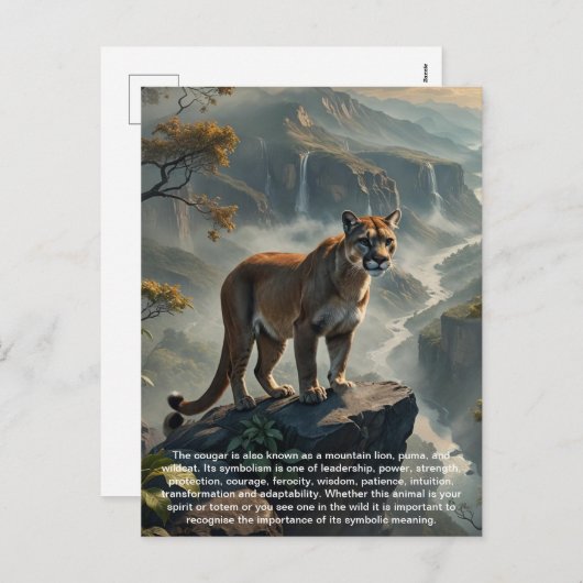 クーガー象徴葉書 シーズンポストカード (正面/裏面)