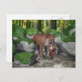 クーガー運マザーズクブ ポストカード (正面/裏面)