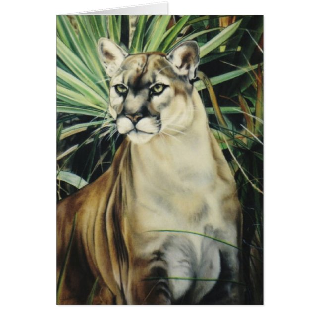 "クーガー" (正面)