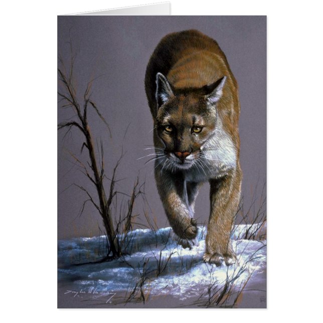 クーガー (正面)