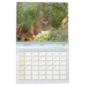 クーガー001のクーガー カレンダー (2月 2027)