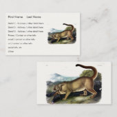 クーガー、またはプーマ、パンサー、マウンテンライオン、キャットミュ 名刺 (正面/裏面)