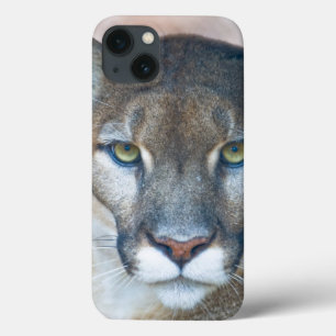 クーガー、オオヤマネコ、フロリダのヒョウ、ピューマ2 iPhone 13ケース