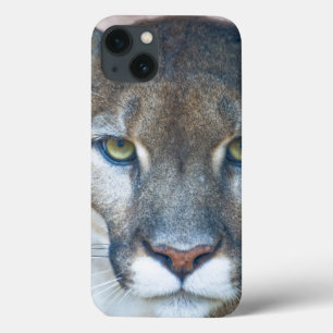 クーガー、オオヤマネコ、フロリダのヒョウ、ピューマ2 iPhone 13ケース