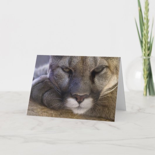 クーガー カード (正面)