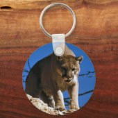 クーガー キーホルダー (正面)