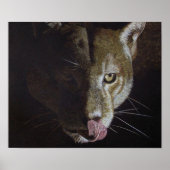 クーガー・ナイト ポスター (正面)