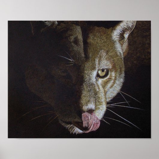 クーガー・ナイト ポスター (正面)