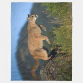 クーガー フリースブランケット (正面)