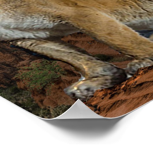 クーガー ポスター (角)