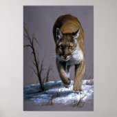 クーガー ポスター (正面)