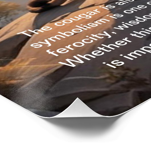 クーガー ポスター (コーナー)