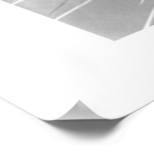 クーガー ポスター (角)