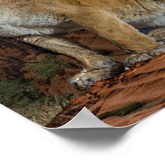 クーガー ポスター (角)