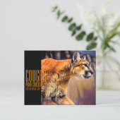 クーガー ポストカード (スタンド正面)