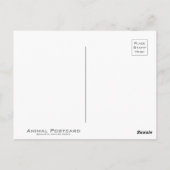 クーガー ポストカード (裏面)