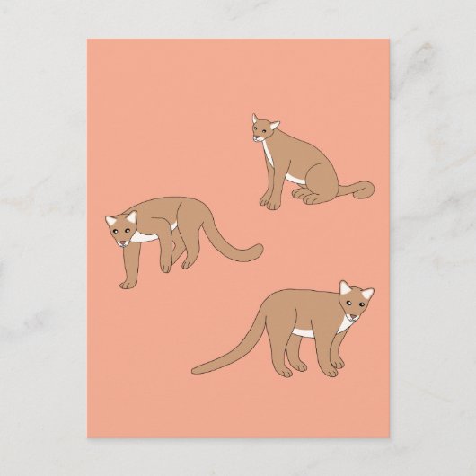 クーガー ポストカード (正面)