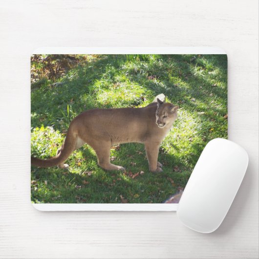 クーガー マウスパッド (マウス)