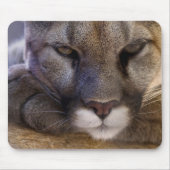 クーガー マウスパッド (正面)