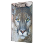 クーガー、マウンテンライオン、フロリダパンサー、プーマ2 クリップボード (左)