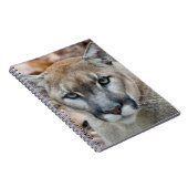 クーガー、マウンテンライオン、フロリダパンサー、プーマ ノートブック (右側)