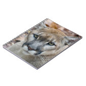 クーガー、マウンテンライオン、フロリダパンサー、プーマ ノートブック (左側)