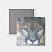 クーガー、マウンテンライオン、フロリダパンサー、プーマ マグネット (正面/裏面)