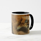 クーガー マグカップ (正面右)