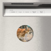 クーガー マグネット (インサイチュ (食洗機))