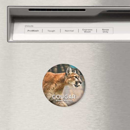 クーガー マグネット (インサイチュ (食洗機))