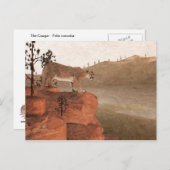 クーガー – 濃度 ポストカード (正面/裏面)