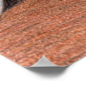 クーガー#2 ポスター (角)