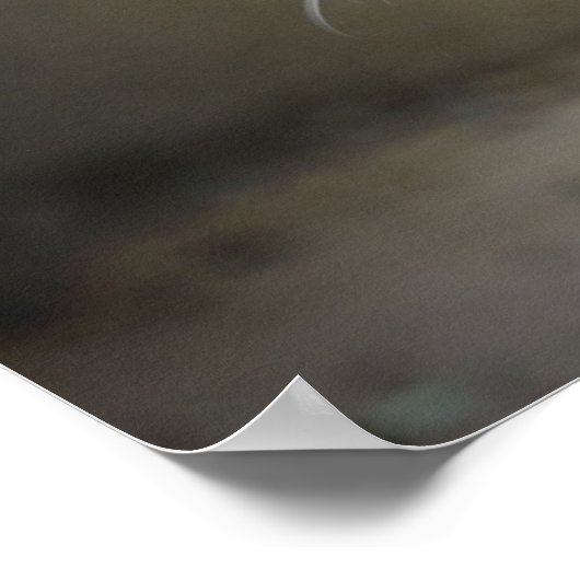 クーガ怒ー ポスター (角)